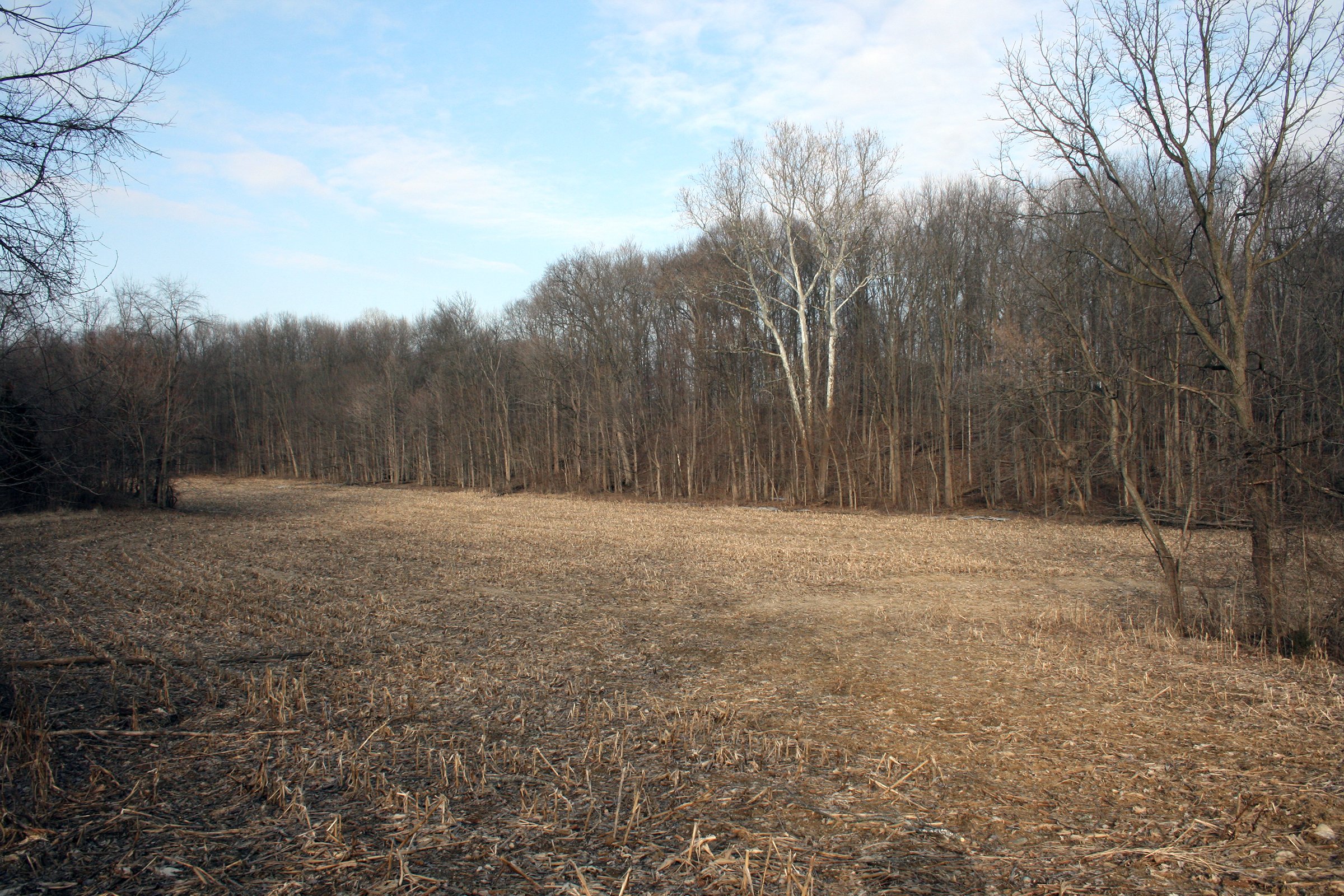 Property photo 10 - REAL ESTATE AUCTION - 84.5+/- ACRES IN 4 TRACTS IN WHITLEY COUNTY, INDIANA